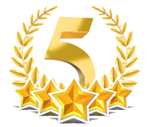 5 star customer satisfaction